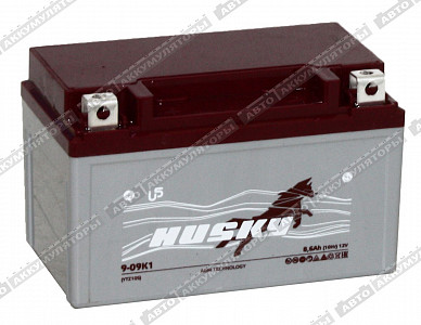 Мотоаккумулятор 9-09K1 (CT 1210.1, YTZ10S) - фото Мотоаккумулятор 9-09K1 (CT 1210.1, YTZ10S) - фото