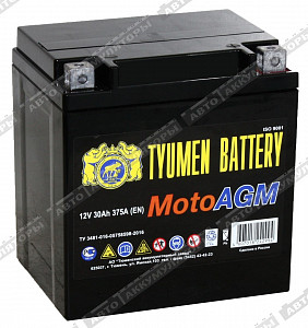 Мотоаккумулятор 6МТС-30 AGM (YTX30L-BS) - фото Мотоаккумулятор 6МТС-30 AGM (YTX30L-BS) - фото