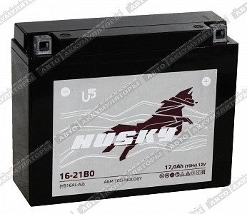 Мотоаккумулятор 16-21B0 (CT 1216, YB16AL-A2) - фото Мотоаккумулятор 16-21B0 (CT 1216, YB16AL-A2) - фото