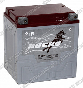 Мотоаккумулятор 29-25D0 (CT 1230, YTX30L-BS) - фото Мотоаккумулятор 29-25D0 (CT 1230, YTX30L-BS) - фото